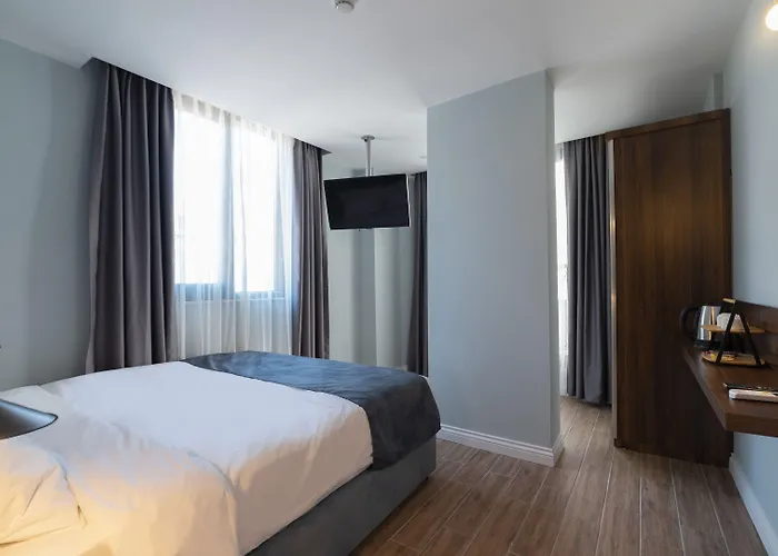 Hotel The Mori Club 3*