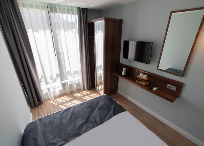 Hotel The Mori Club 3*